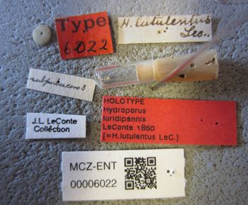 Media type: image;   Entomology 6022 Aspect: labels